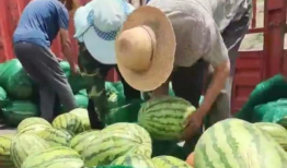 吃瓜爆料大赛聚集地,网络聚集地的风云变幻