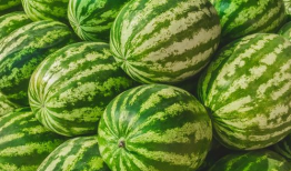 吃瓜爆料大赛聚集地,网络聚集地的风云变幻